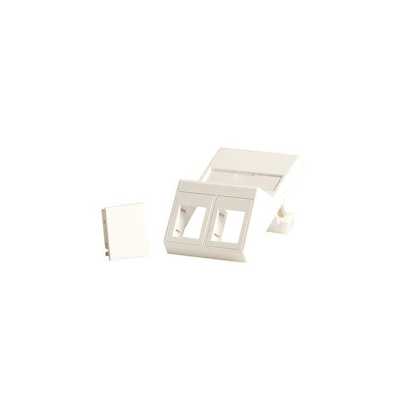 Wall plate, angled, for 2 x