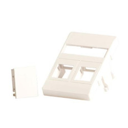 Wall plate 2 x keystone for