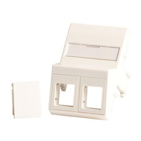 Wall plate, angled, 2 x