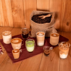 Cafetera Espresso CECOTEC BARISTEO CLASS | APLIUM