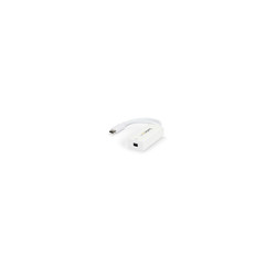 USB-C to Mini DisplayPort Adapter - 4K60