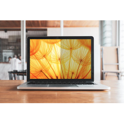 3M Bright Screen Privacy Filter for 16i | APLIUM