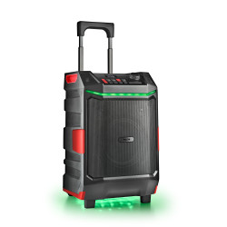 Altavoz Portable con Bluetooth NGS Wild Bash/ 300W | APLIUM