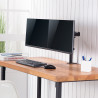 Dual Monitor mount, 17"-32", | APLIUM