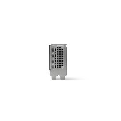 PNY RTX2000 Ada NVIDIA RTX 2000 Ada 16 GB GDDR6 | APLIUM