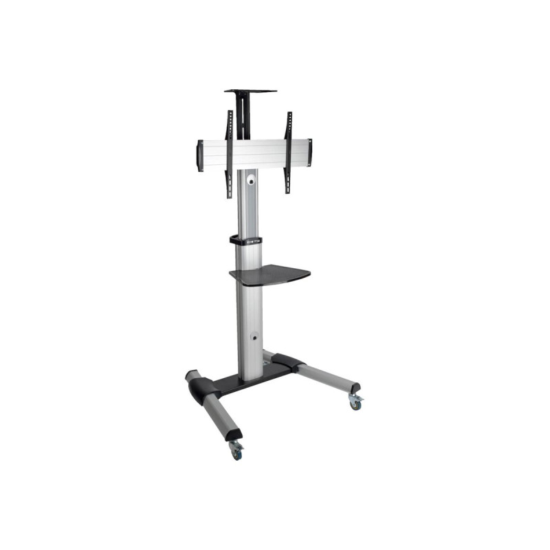 Mobile Flat Panel Floor Stand For 32 - 70IN Tvs + Monirs | APLIUM