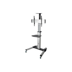 Mobile Flat Panel Floor Stand For 32 - 70IN Tvs + Monirs | APLIUM