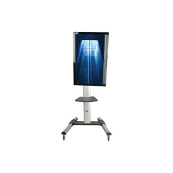 Mobile Flat Panel Floor Stand For 32 - 70IN Tvs + Monirs | APLIUM