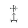 Mobile Flat Panel Floor Stand For 32 - 70IN Tvs + Monirs | APLIUM
