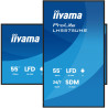 55" 3840x2160, UHD IPS panel, | APLIUM