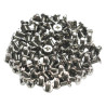 Screwpack F M.2SSD Installation 96 Pieces Flathead Machine S | APLIUM