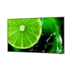 NEC MultiSync E658 165,1 cm (65") IPS 350 cd / m² 4K Ultra H | APLIUM