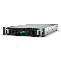 P81786-425 - HPE ProLiant DL380 Gen11 4516Y+ 24c 1P | APLIUM
