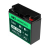 Green Cell AGM Battery Lead Acid VRLA 12V 17Ah for motor boa | APLIUM
