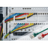 Cable de parcheo slim RJ45-RJ45, Cat. 6A, F/FTP, AWG 32/7, L | APLIUM