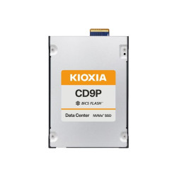 X121 CD9 dSSD 12.8TB E3.S PCIe Gen5 SED | APLIUM