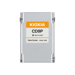 X121 CD9 dSSD 61.4TB U.2 PCIe Gen5 SED | APLIUM