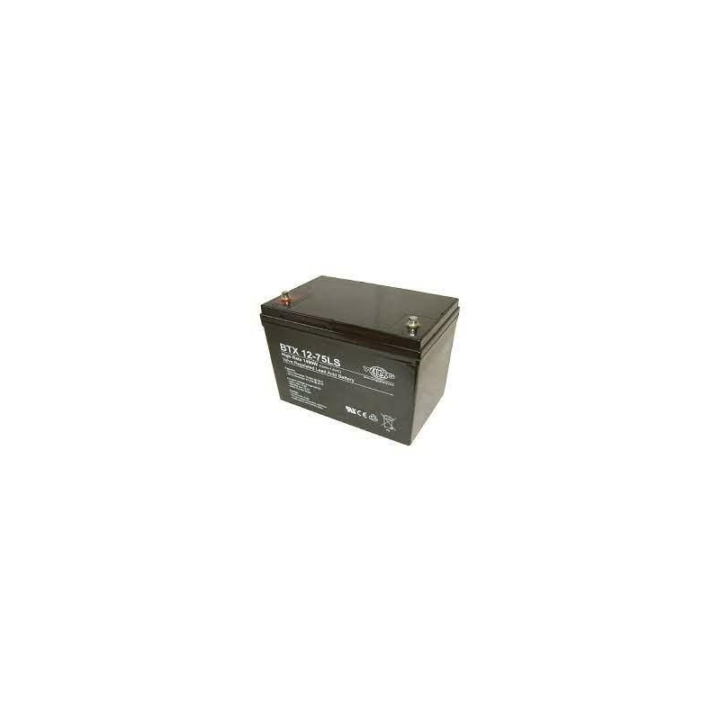 BTX 12-75 LS