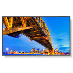 43" M-Series Large Format Display, UHD, 500cd/m2, D-LED back | APLIUM