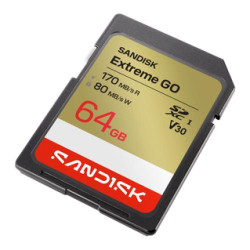 SanDisk Extreme Go - Tarjeta de memoria flash - 64 GB - Vide | APLIUM