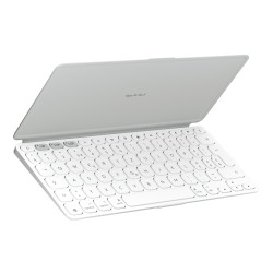 Keys-to-go 2 Pale Grey - Ch - WESTMID-511 | APLIUM