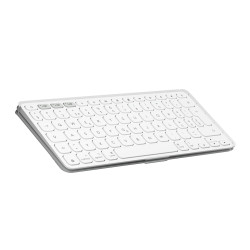 Keys-to-go 2 Pale Grey - Ch - WESTMID-511 | APLIUM
