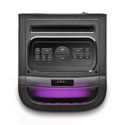 Altavoz Portable con Bluetooth NGS Wild Space 2/ 2000W | APLIUM