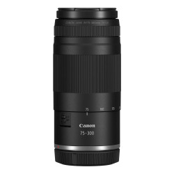 Canon 7155C005 - Rf 75-300MM F4-5.6 Lens | APLIUM
