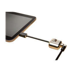 Kensington K67890WW — vista 10