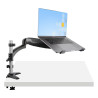 Supporto per PC portatile o monitor 34"