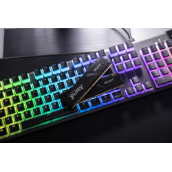Kingston KF436C17BB/8 — vista 12
