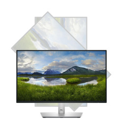 Dell DELL-P2225H — vista 11