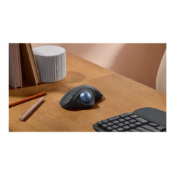 Logitech 910-007029 — vista 10