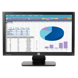 ProDisplay P202 20"