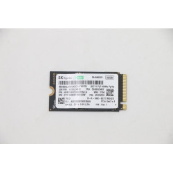 256GB M.2 2242 PCIe 3.0 NVMe