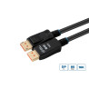 16K DisplayPort 2.1 80Gbps
