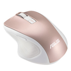 MW202 MOUSE/RG//
