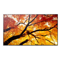 M552, 55" M-Series LFD, UHD
