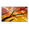 M552, 55" M-Series LFD, UHD