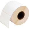 Label, Paper, 25x51mm, TT
