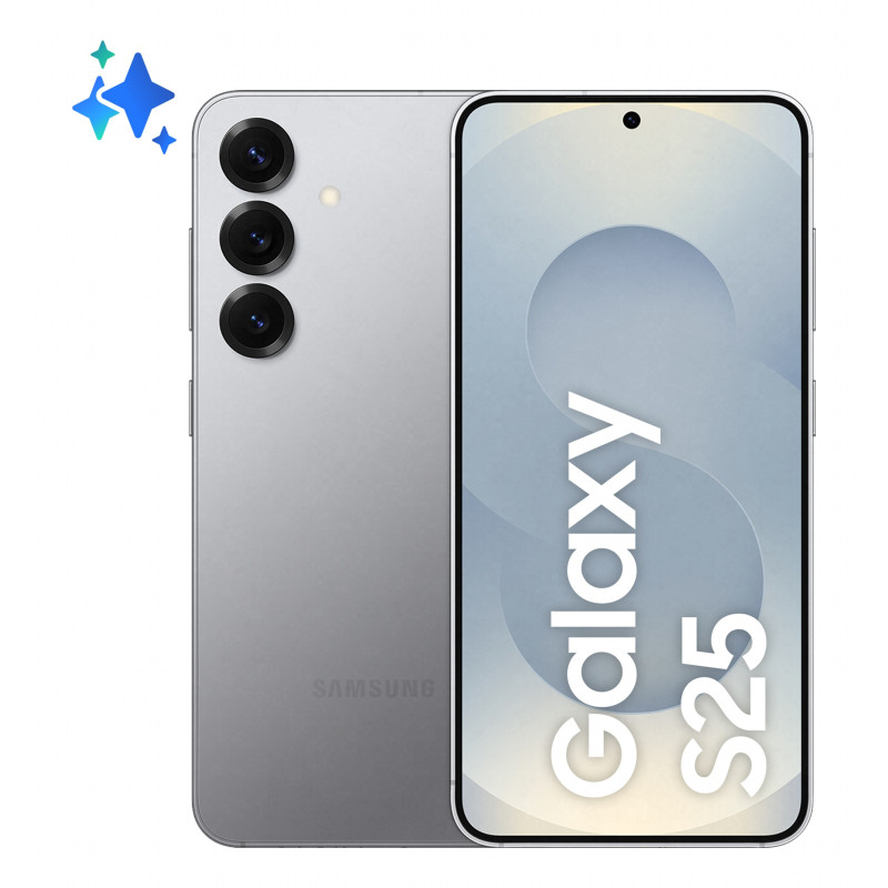 Galaxy S25 5G 256GB Silver Shadow