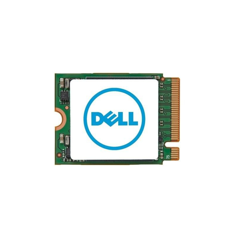 256GB M.2 2230 NVMe SSD