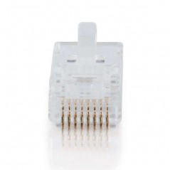 C2G 88121, RJ-45, Blanco, Plástico, Oro, 43 g, 25 pieza(s)