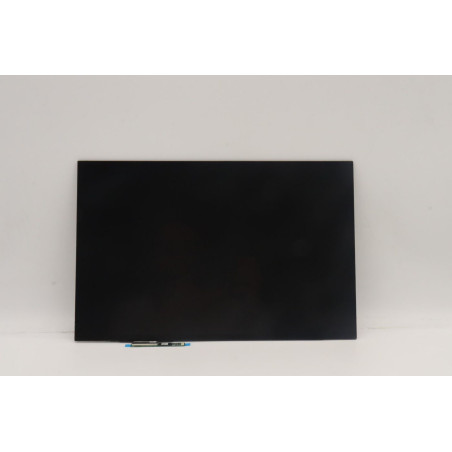 DISPLAY LCD Module L82U9