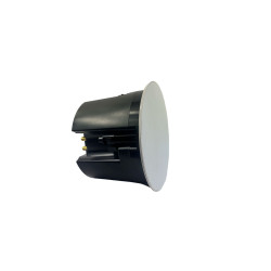 In-Ceiling Speaker with
