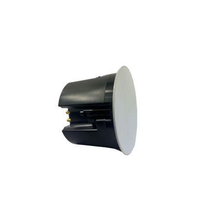 In-Ceiling Speaker with