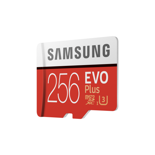 samsung-evo-plus-256-gb-micro-sd-2.jpg