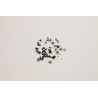 Screw Screw Pack W 21AT