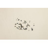 SCREW Screw Pack C 21DM