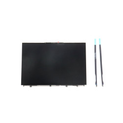 OLED display module for